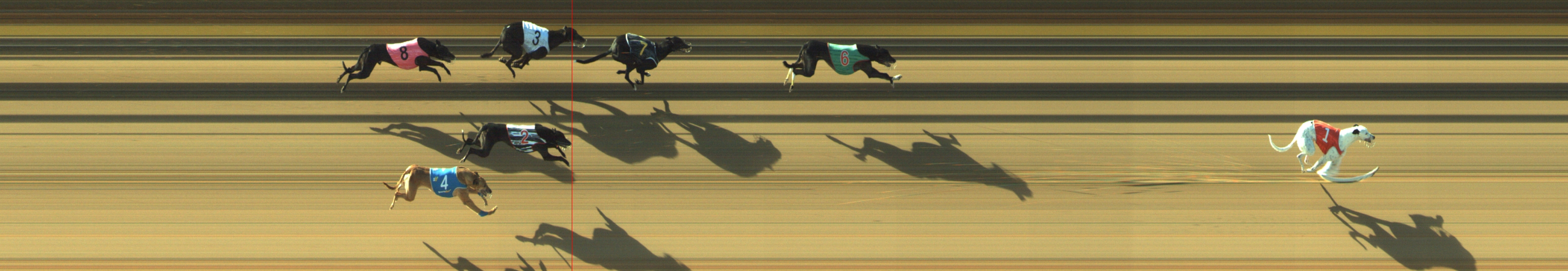 Photo finish for Geelong Race 4