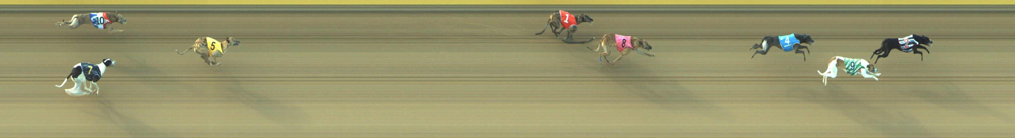 Photo finish for Geelong Race 5