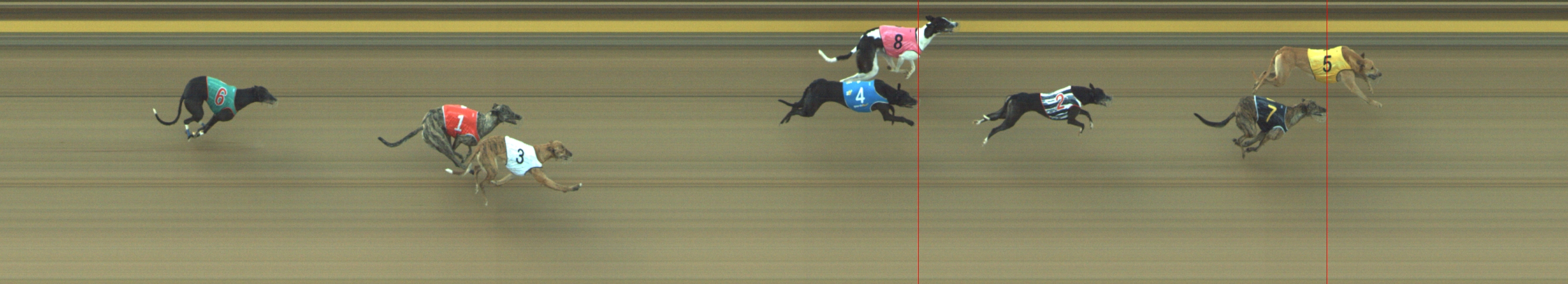 Photo finish for Geelong Race 6