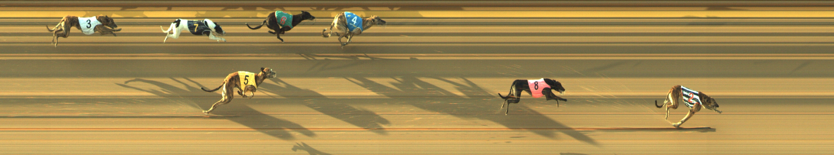 Photo finish for Geelong Race 7