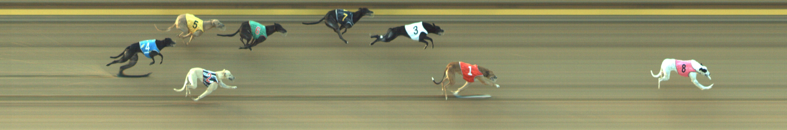Photo finish for Geelong Race 8