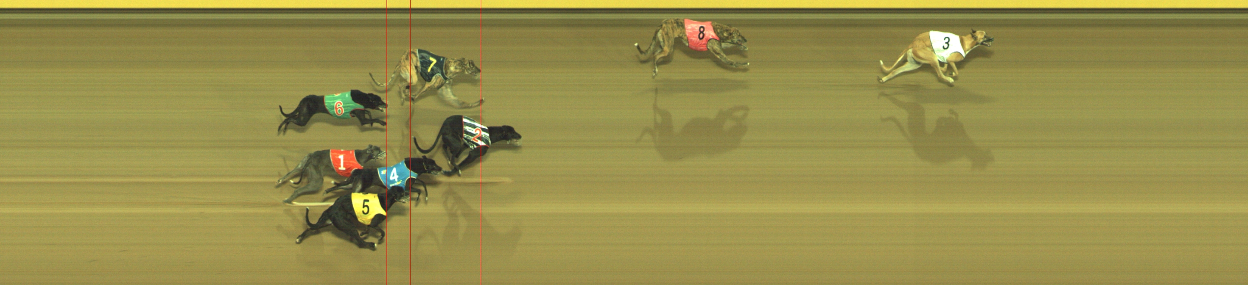 Photo finish for Geelong Race 9
