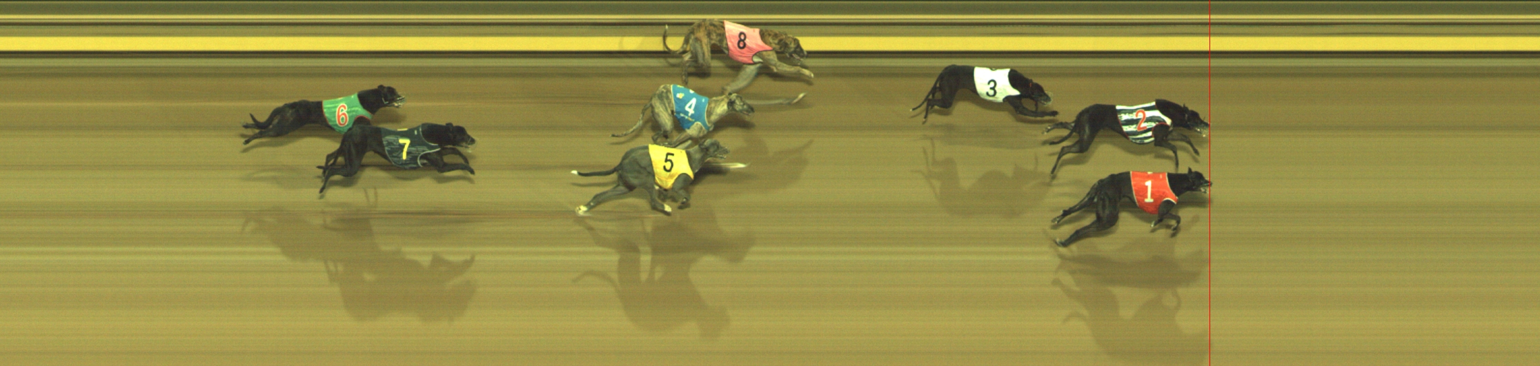 Photo finish for Geelong Race 11
