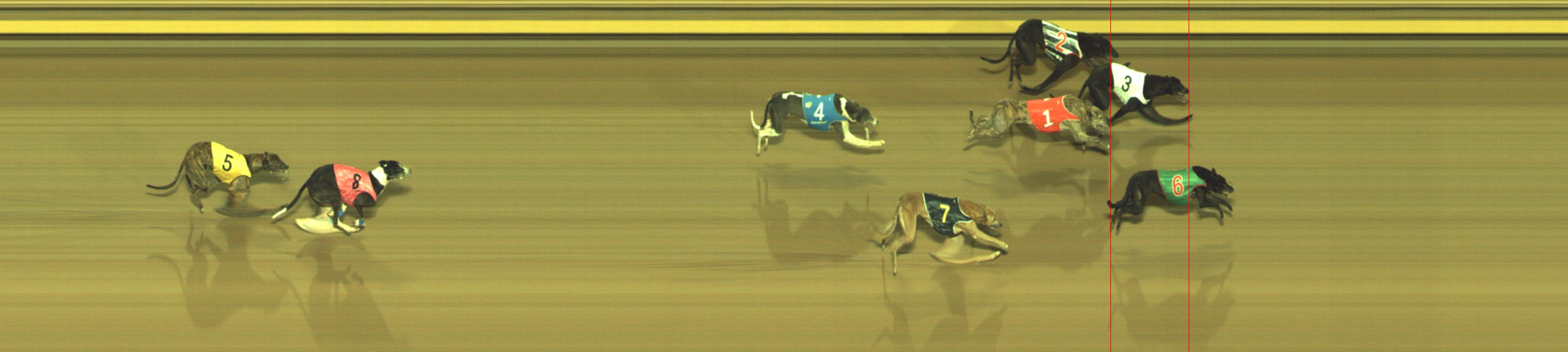 Photo finish for Geelong Race 12
