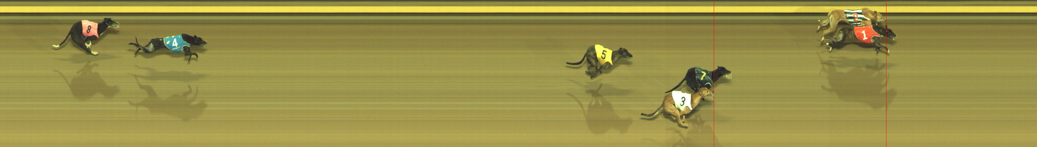 Photo finish for Geelong Race 13