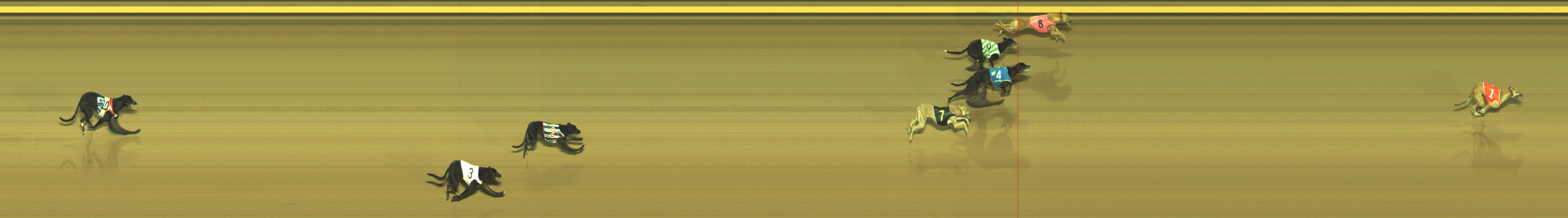 Photo finish for Geelong Race 1