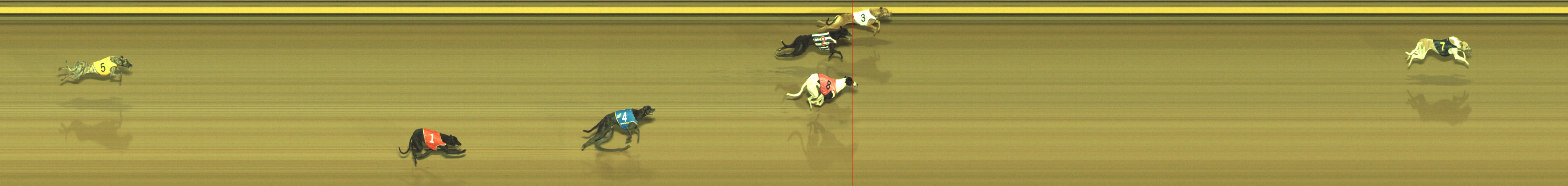 Photo finish for Geelong Race 2