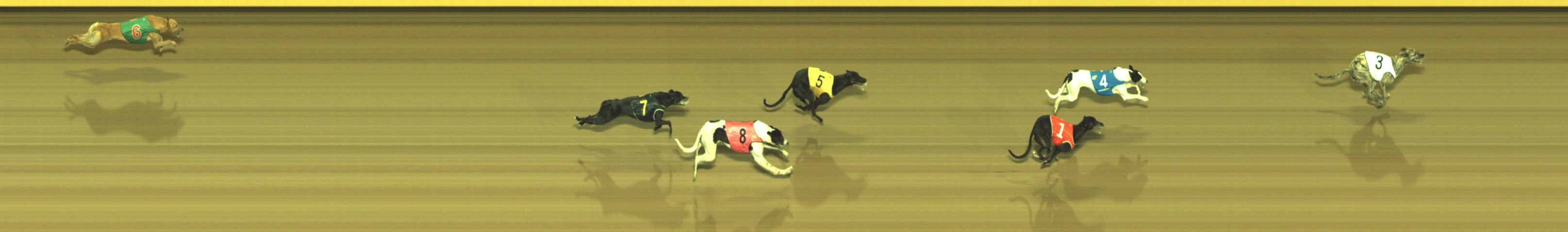 Photo finish for Geelong Race 3