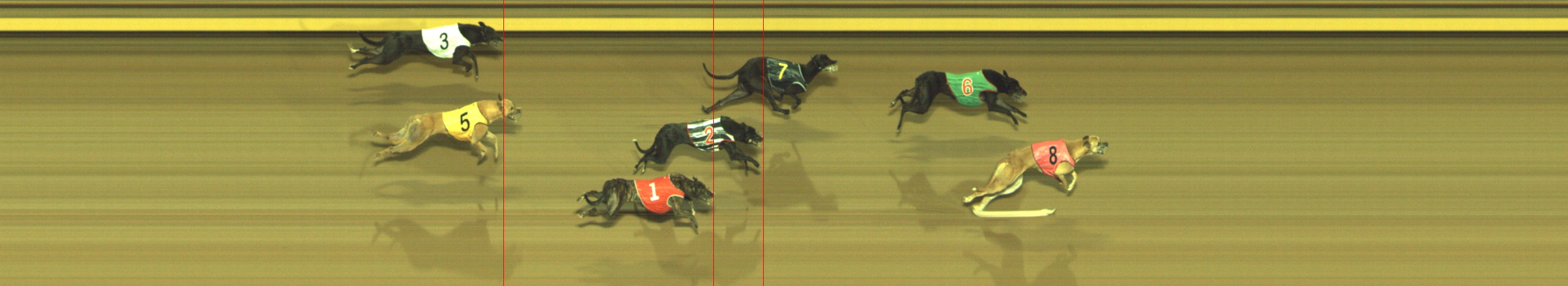Photo finish for Geelong Race 4