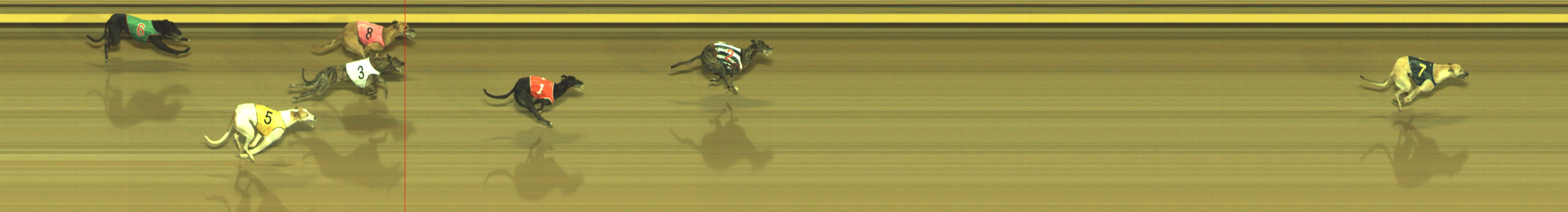 Photo finish for Geelong Race 5