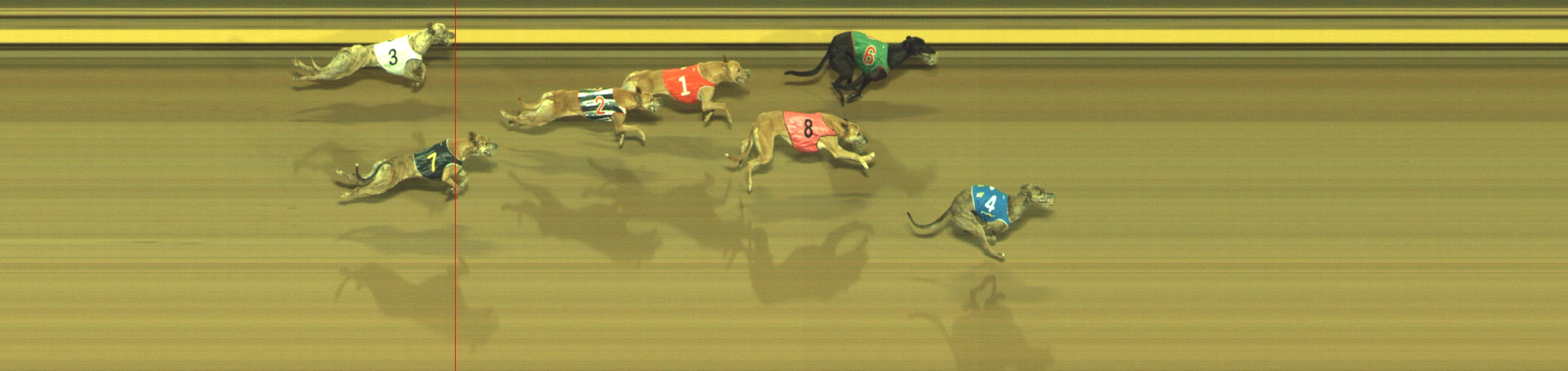 Photo finish for Geelong Race 6