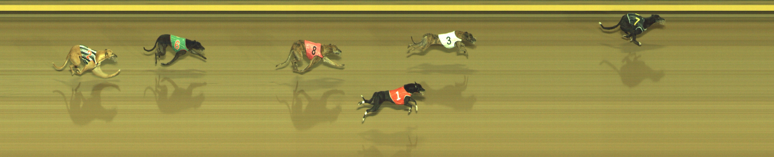 Photo finish for Geelong Race 7