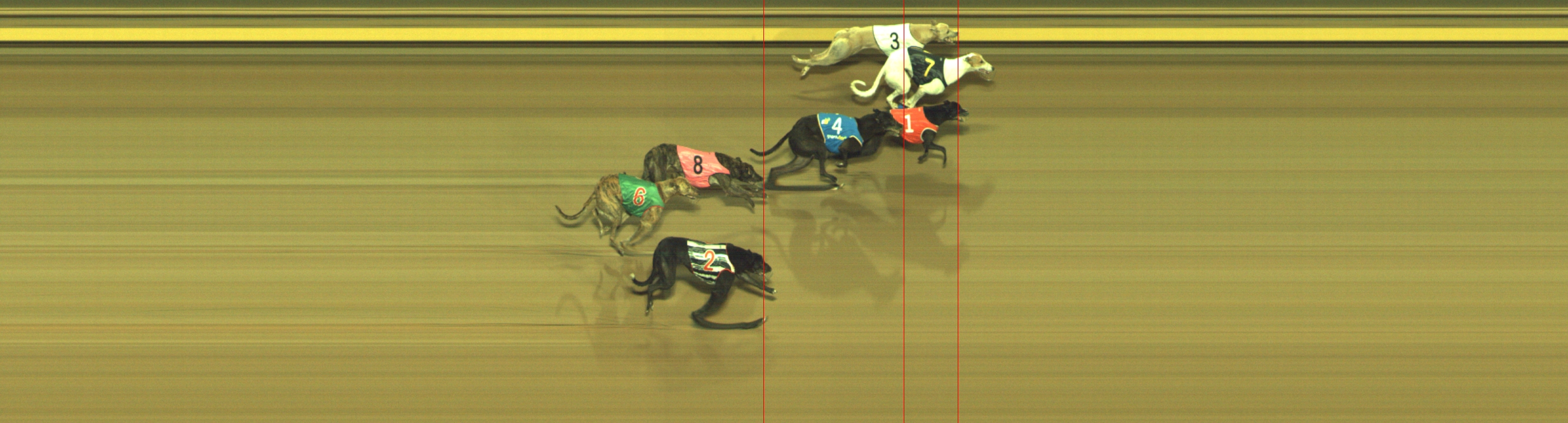 Photo finish for Geelong Race 8