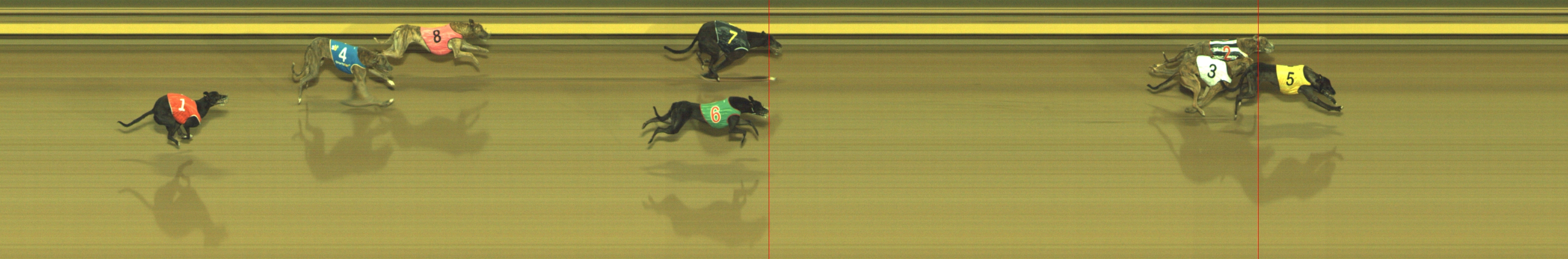 Photo finish for Geelong Race 9