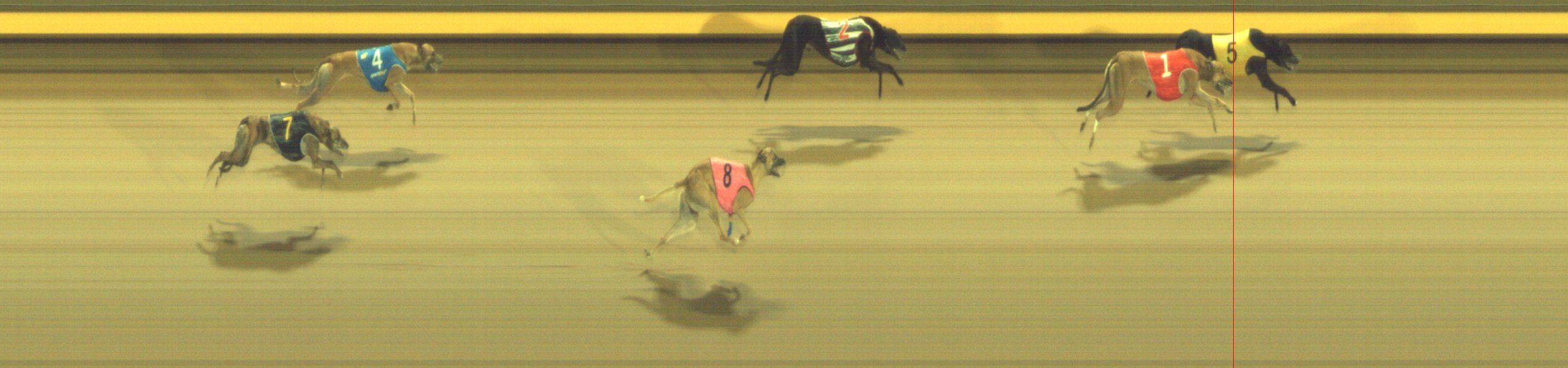 Photo finish for Geelong Race 10