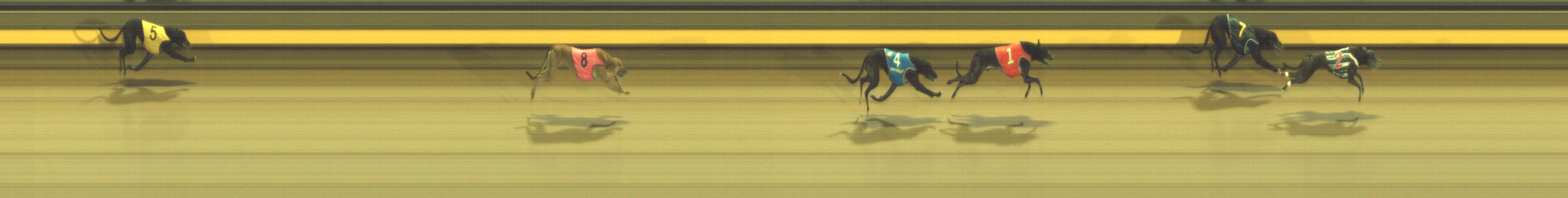 Photo finish for Geelong Race 11