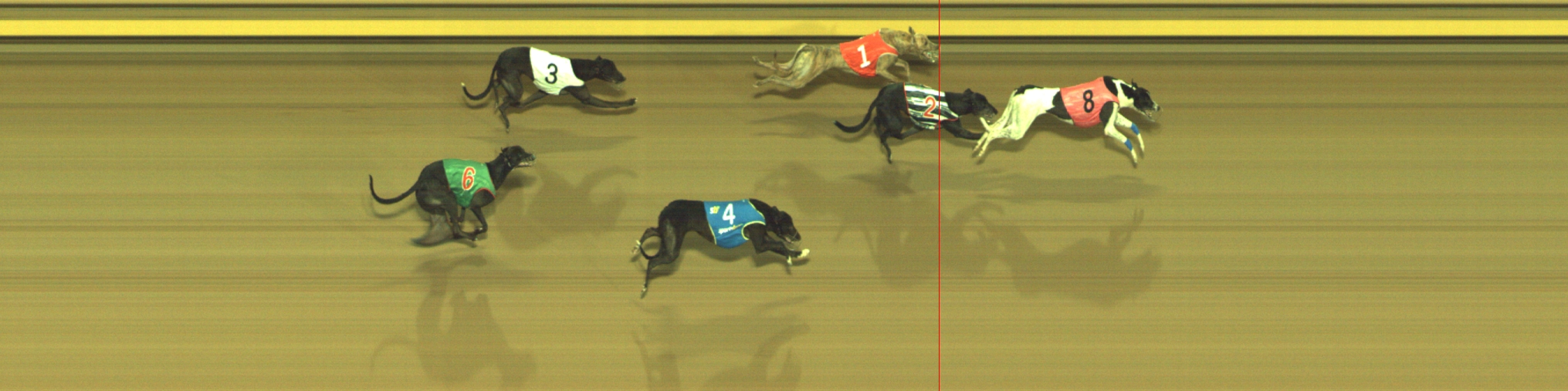 Photo finish for Geelong Race 12