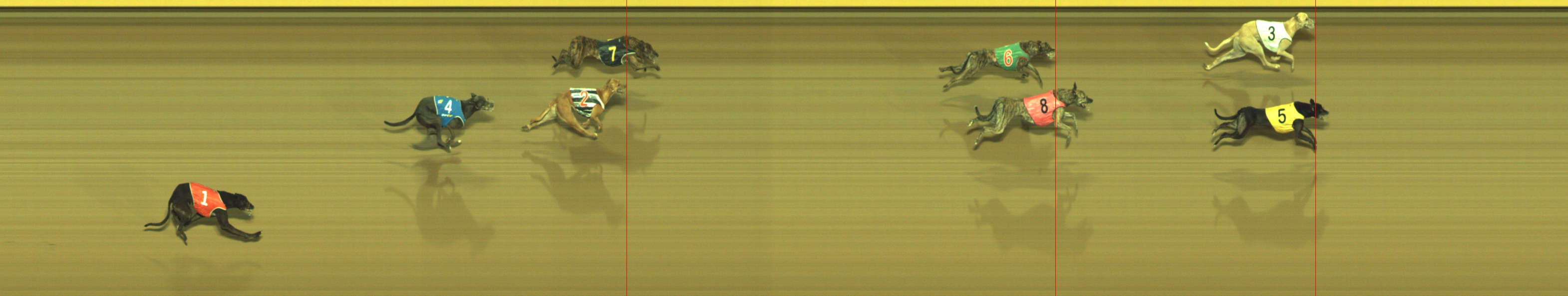 Photo finish for Geelong Race 13