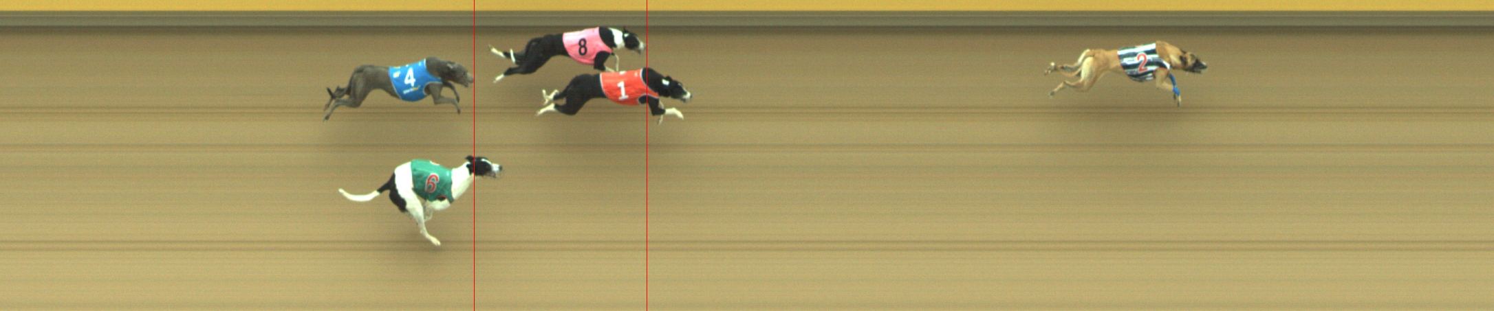Photo finish for Geelong Race 1