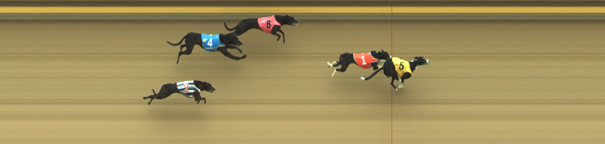 Photo finish for Geelong Race 2