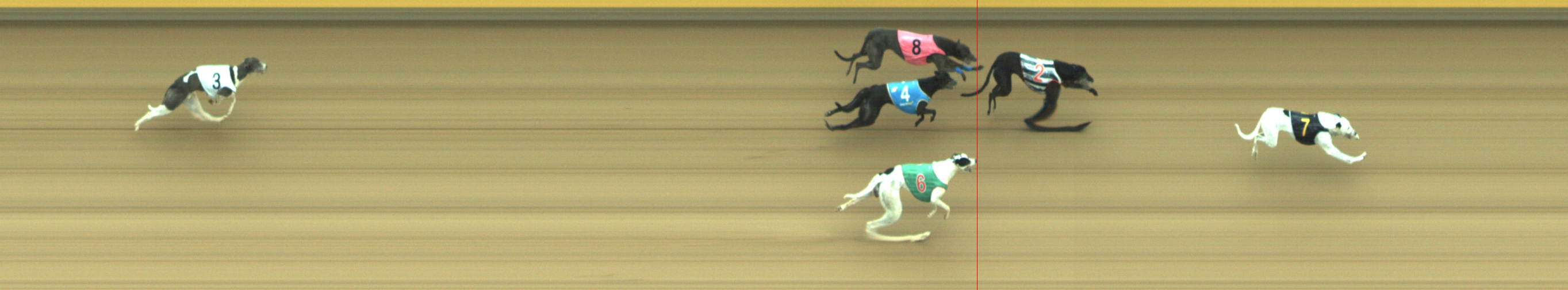 Photo finish for Geelong Race 3