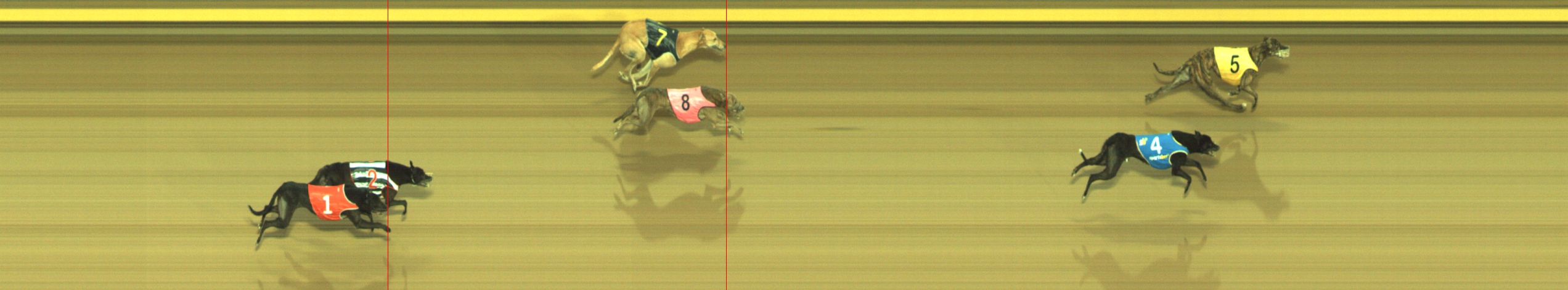 Photo finish for Geelong Race 4