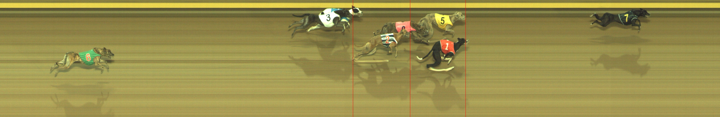 Photo finish for Geelong Race 5