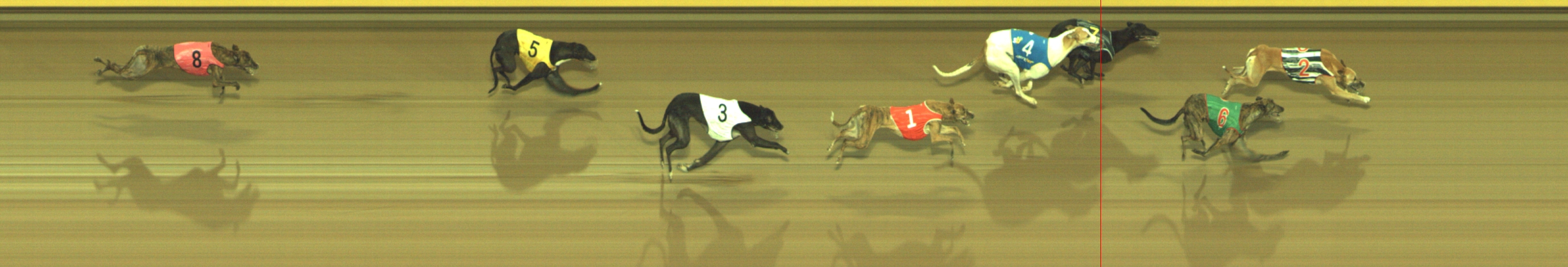 Photo finish for Geelong Race 6
