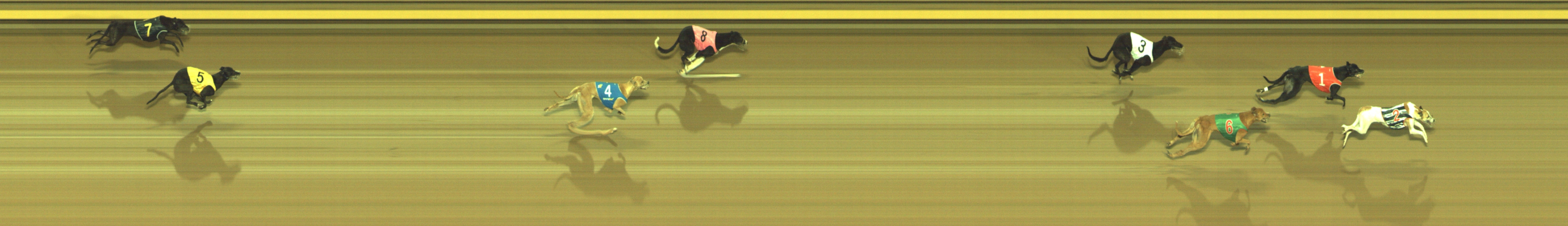 Photo finish for Geelong Race 7