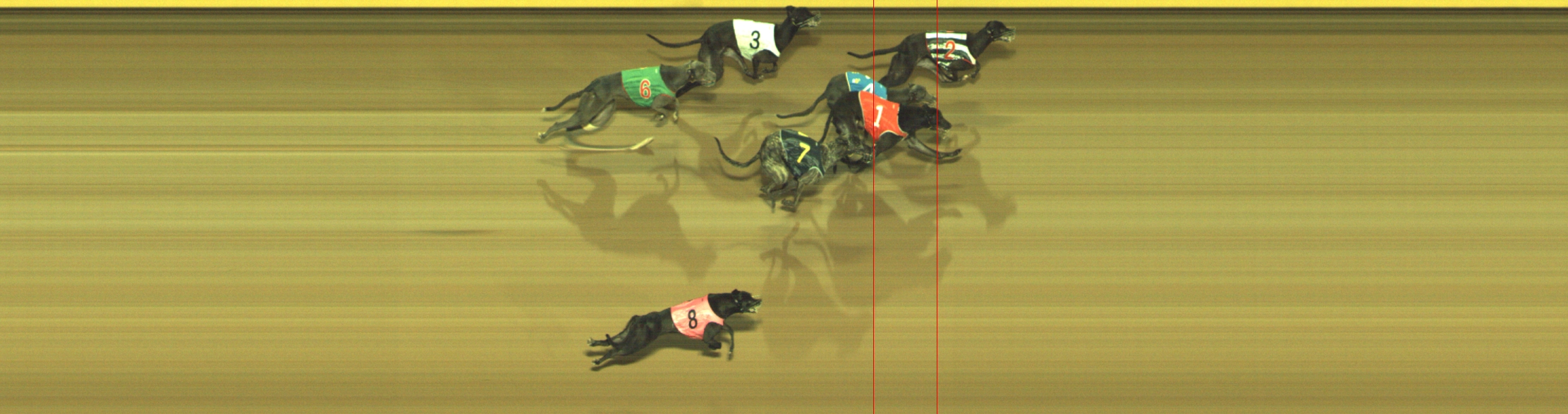 Photo finish for Geelong Race 8