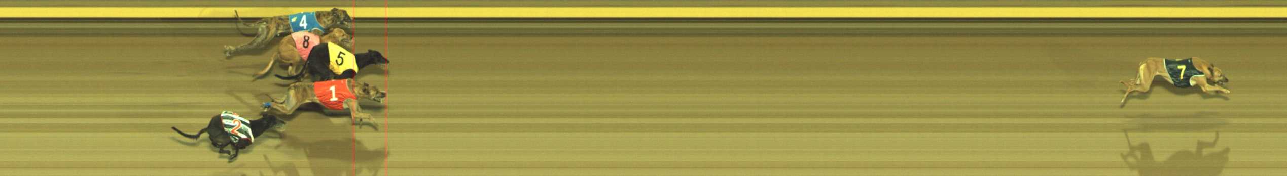 Photo finish for Geelong Race 9