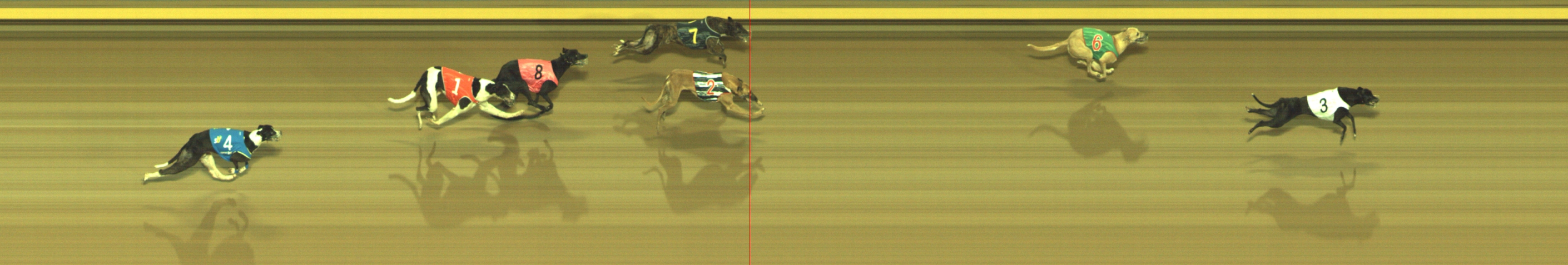 Photo finish for Geelong Race 10