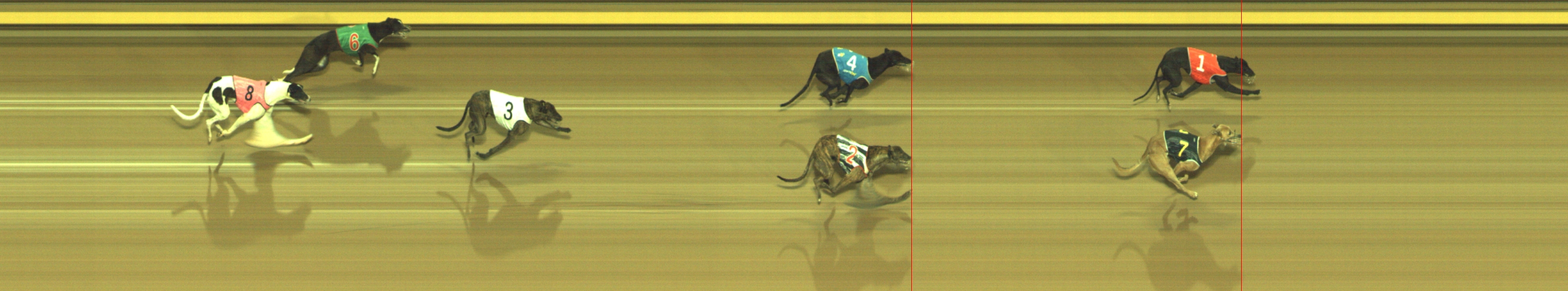 Photo finish for Geelong Race 11