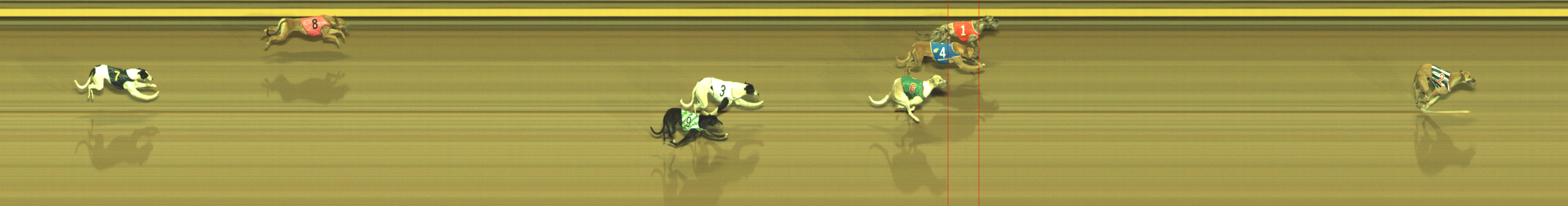 Photo finish for Geelong Race 1