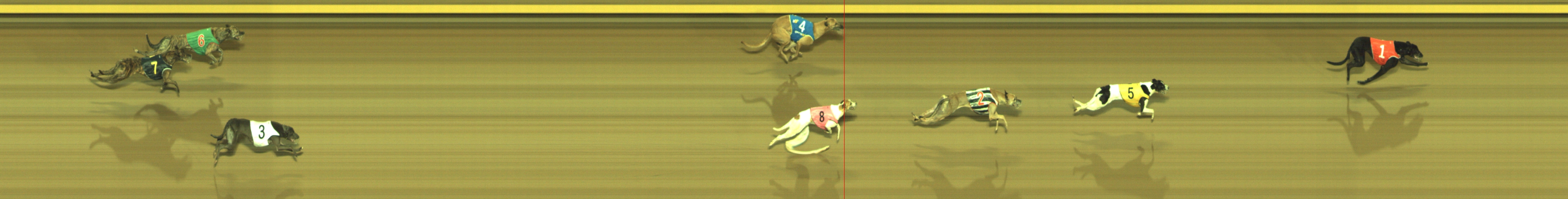 Photo finish for Geelong Race 2