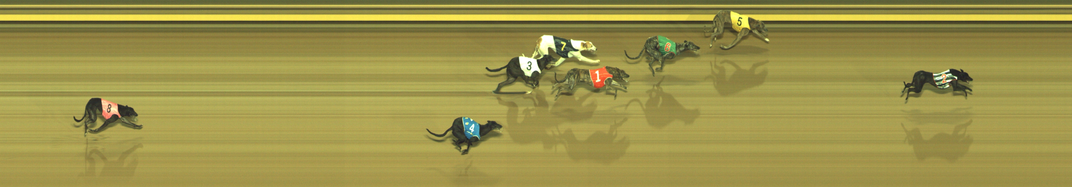 Photo finish for Geelong Race 3