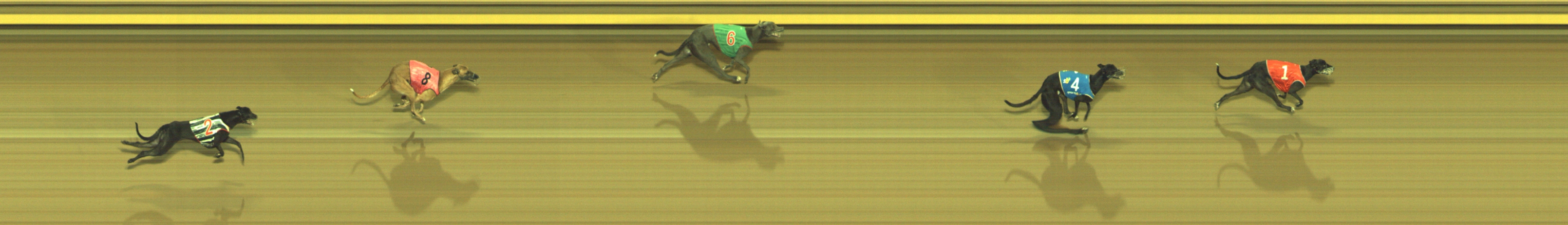 Photo finish for Geelong Race 4