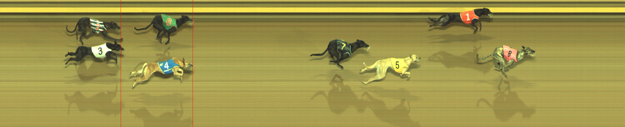 Photo finish for Geelong Race 5