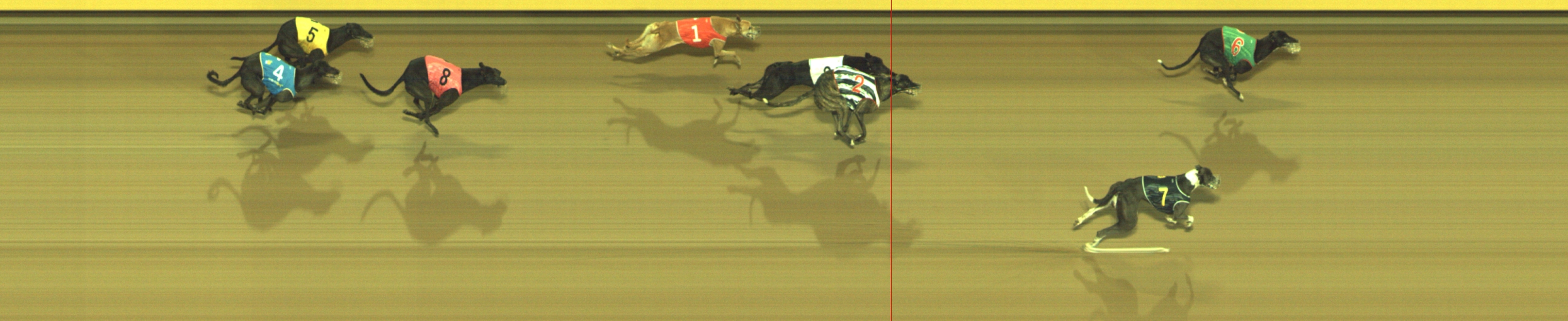 Photo finish for Geelong Race 6