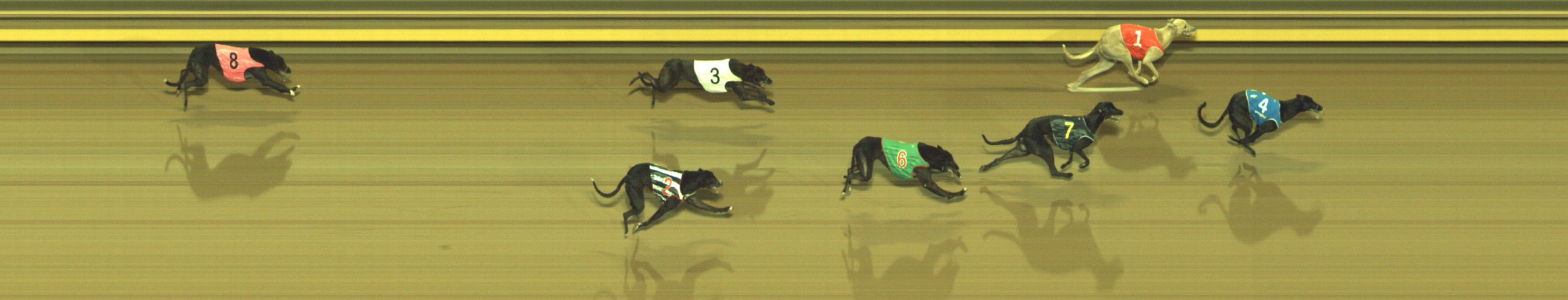 Photo finish for Geelong Race 7