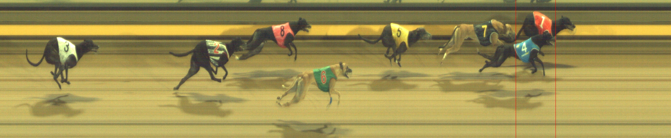 Photo finish for Geelong Race 8