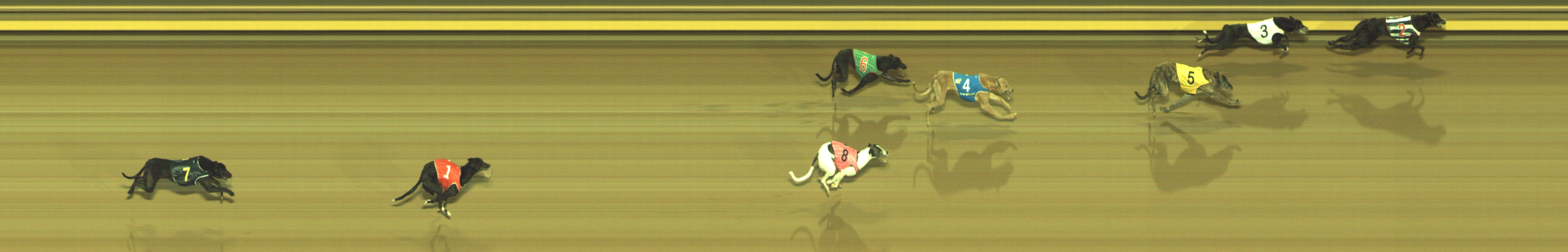 Photo finish for Geelong Race 9