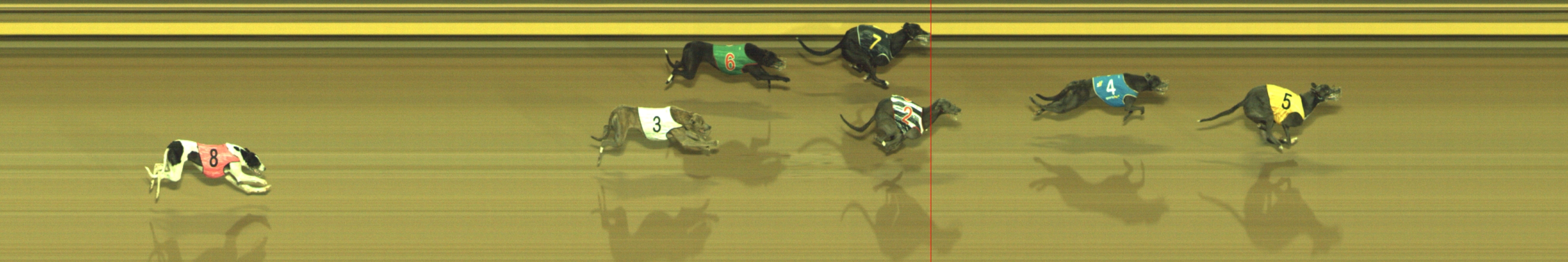Photo finish for Geelong Race 10