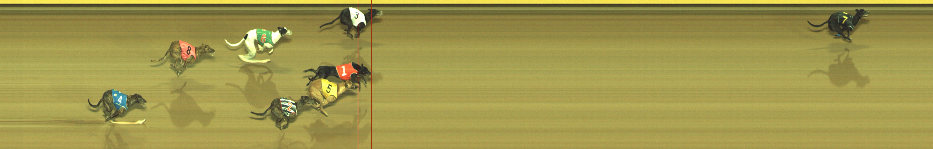 Photo finish for Geelong Race 11