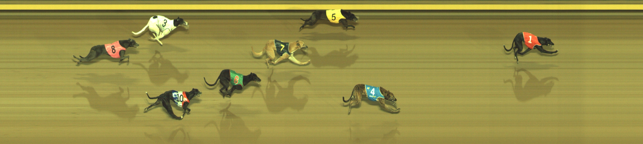 Photo finish for Geelong Race 12
