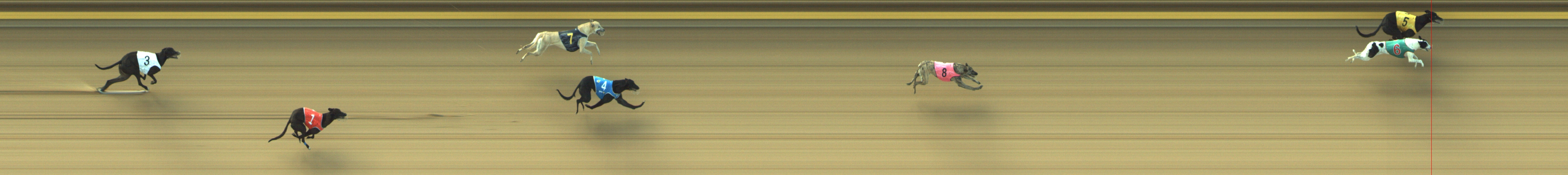 Photo finish for Geelong Race 1