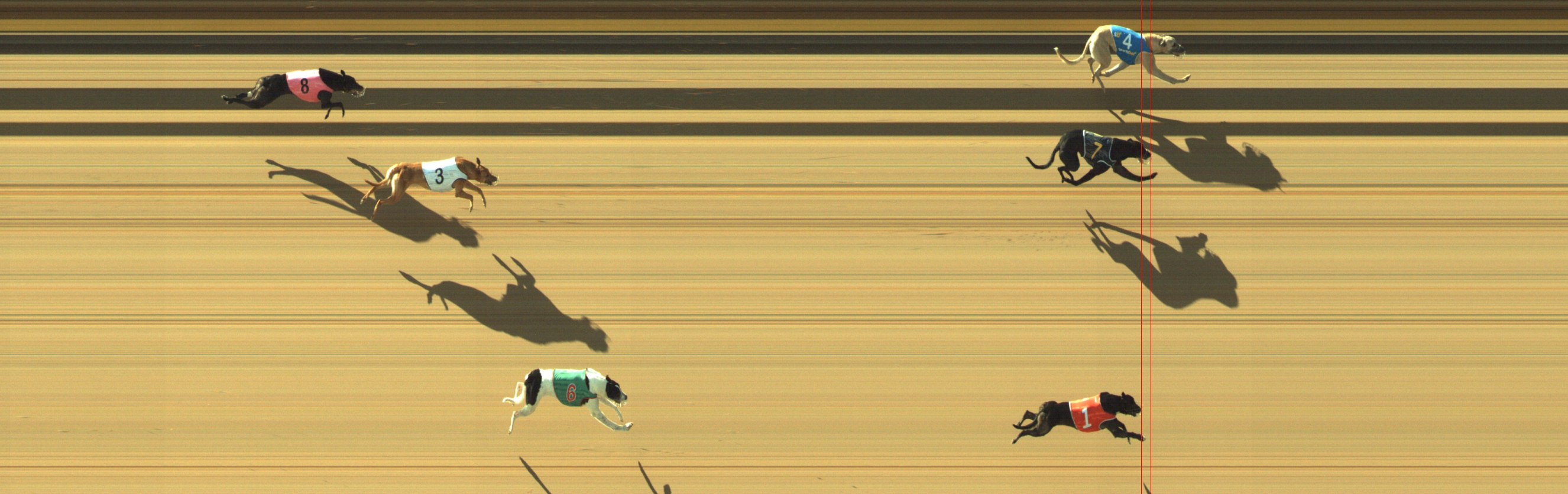 Photo finish for Geelong Race 2