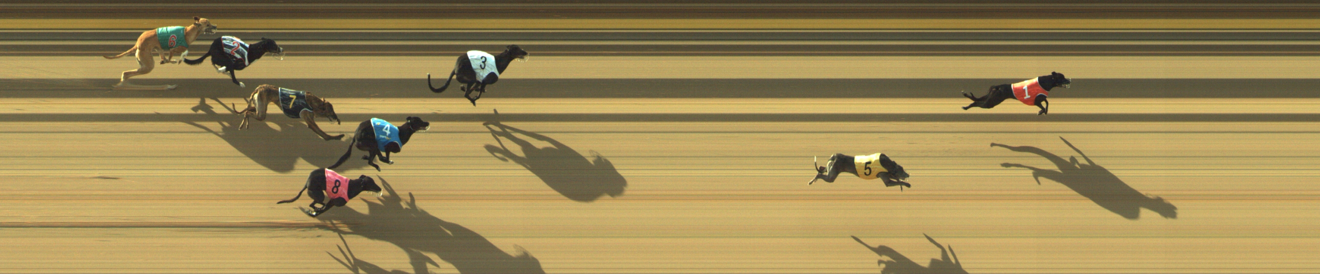Photo finish for Geelong Race 3