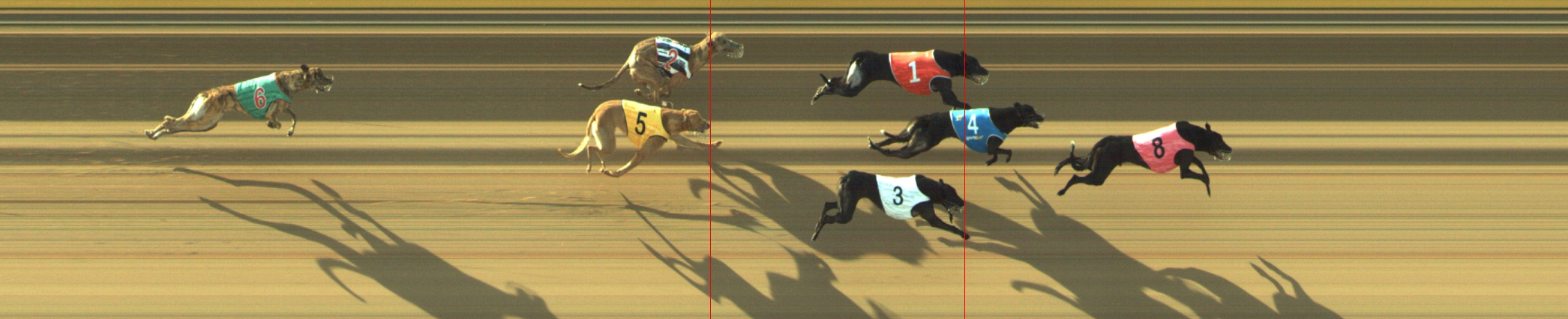 Photo finish for Geelong Race 4