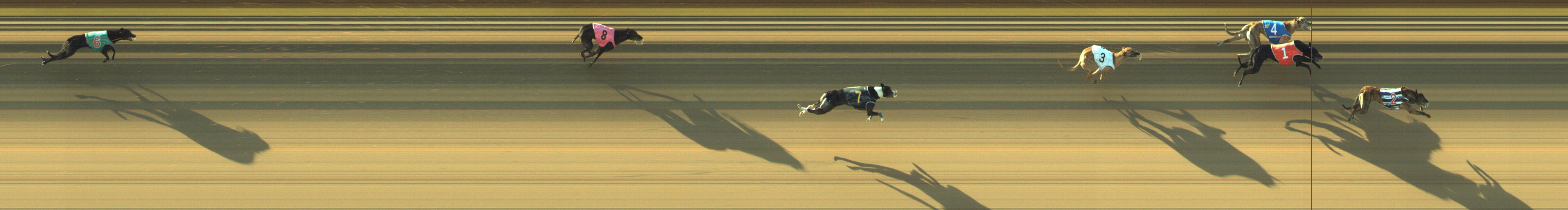 Photo finish for Geelong Race 5